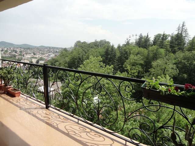 Отель Argopalace Кутаиси-19